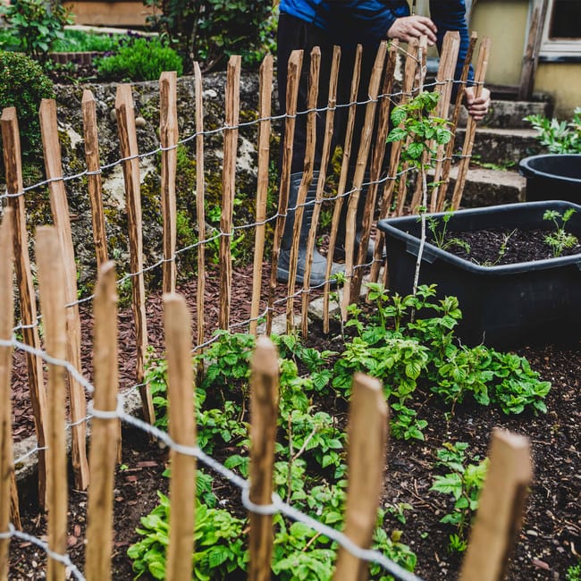 16.jpg 16.jpg